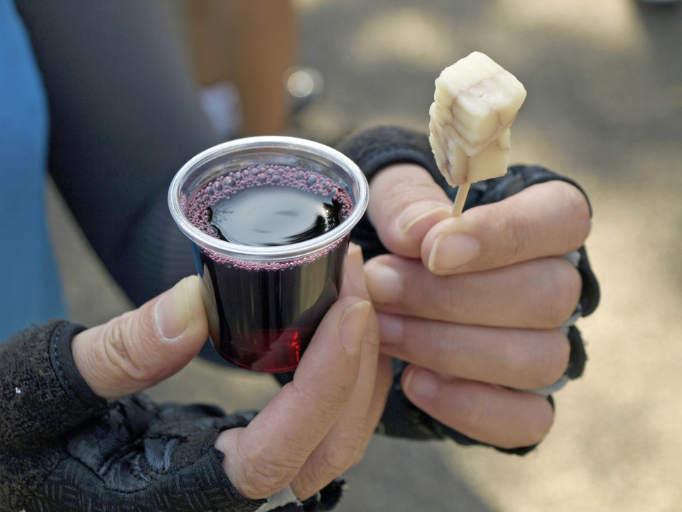 上野公園でブドウジュースとチーズを食す