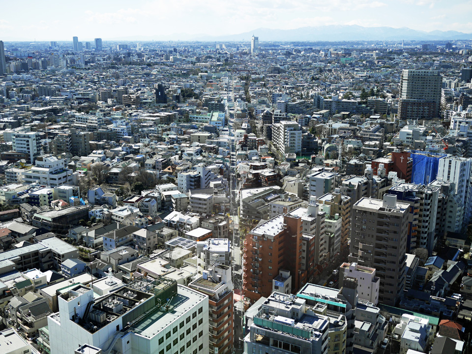 キャロットタワー展望ロビーから見た渋谷町水道みち