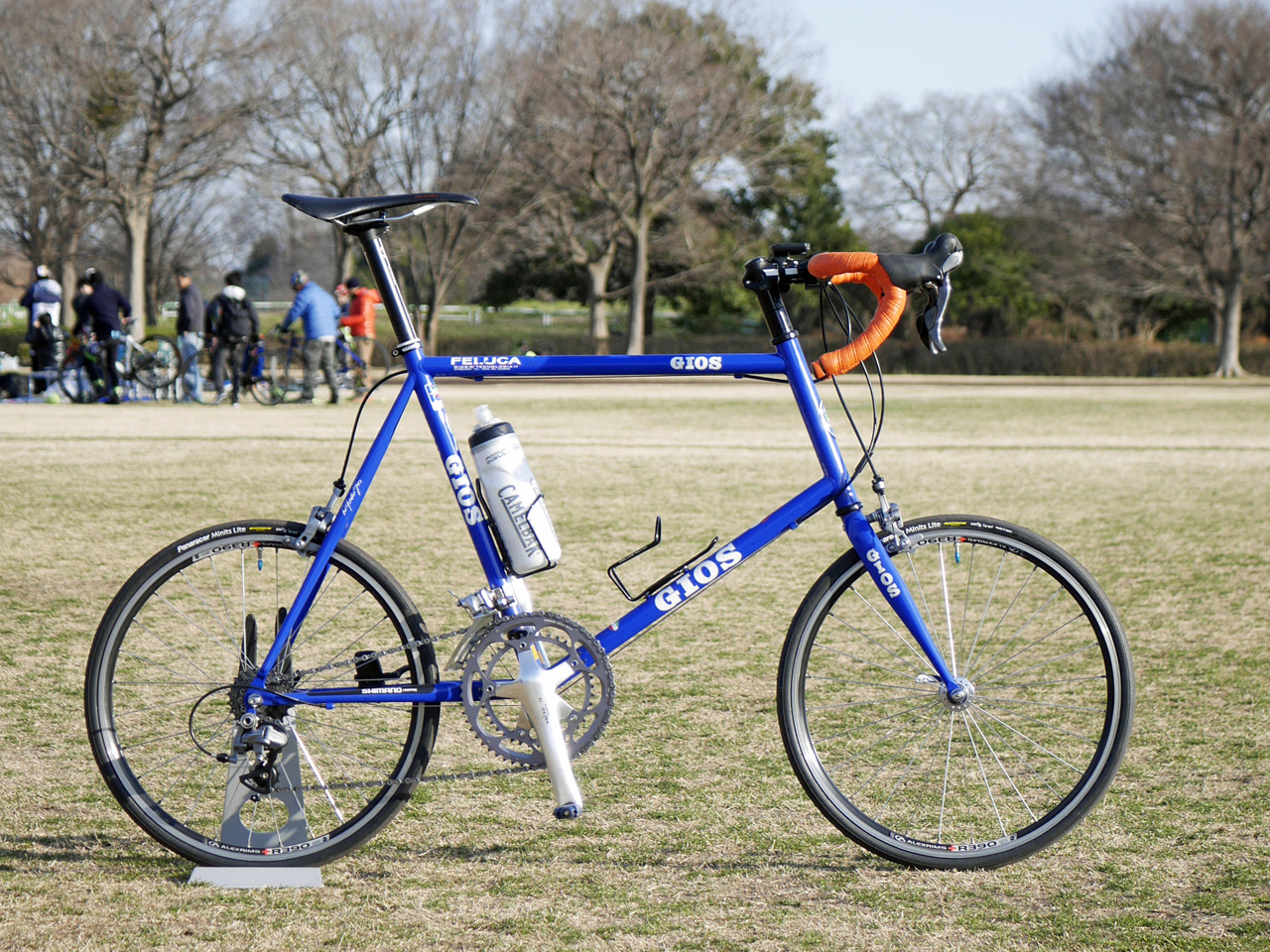 saruveraの愛車 GIOS FELUCA