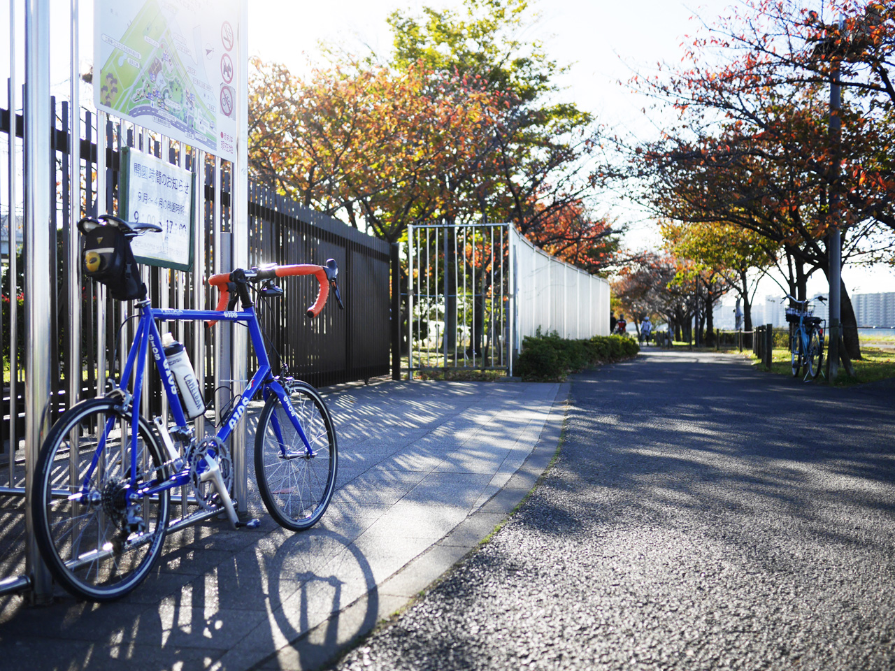 都市農業公園前で朝日を浴びるGIOS FELUCA