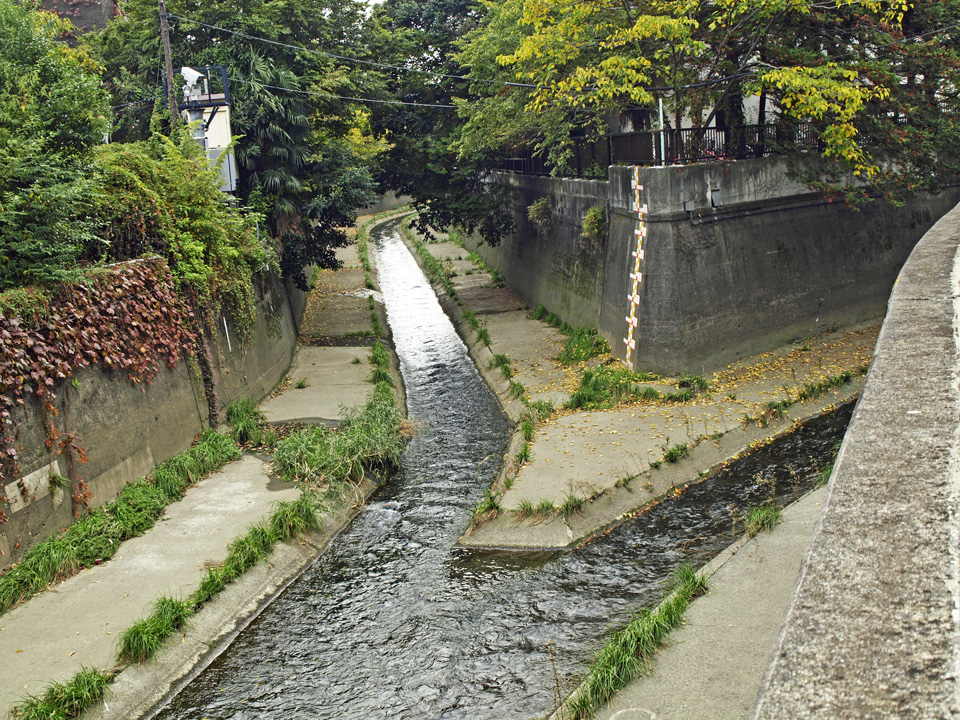 神田川と善福寺川の合流地点