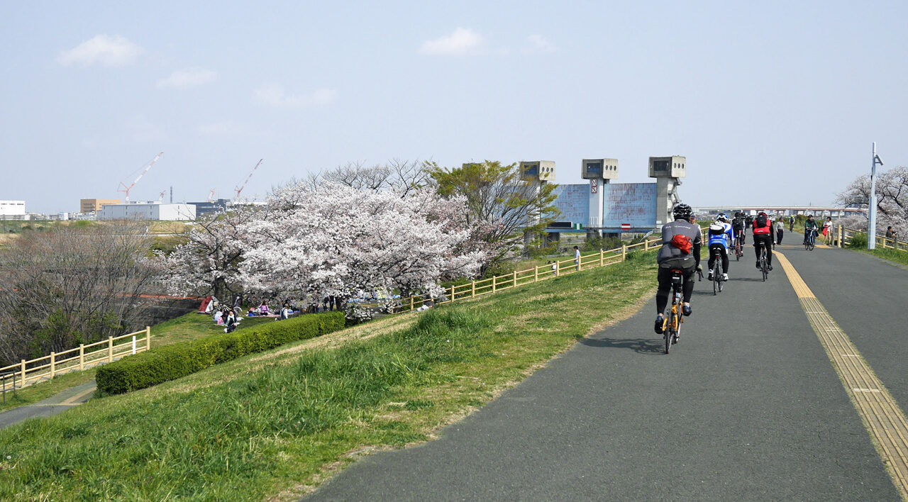 花見で賑わう岩淵水門をミニベロ集団が往く