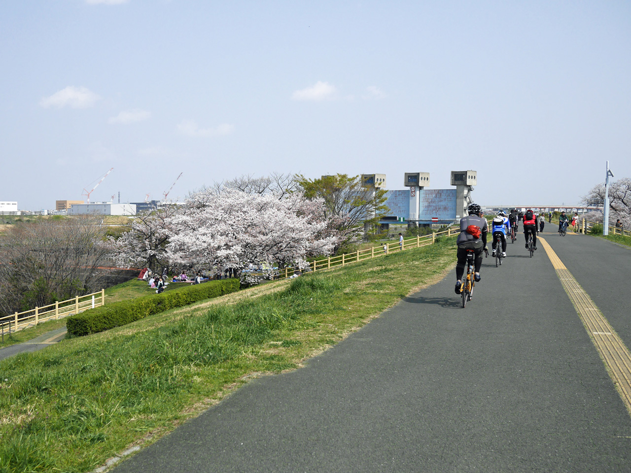 花見で賑わう岩淵水門をミニベロ集団が往く