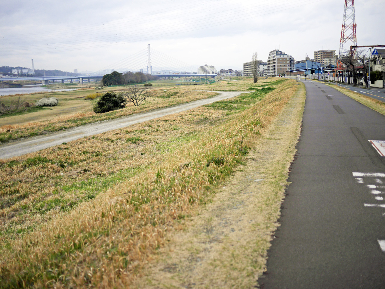 多摩川左岸サイクリングロードの風景