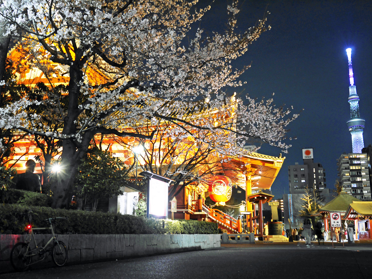 浅草寺本堂脇の桜と東京スカイツリー