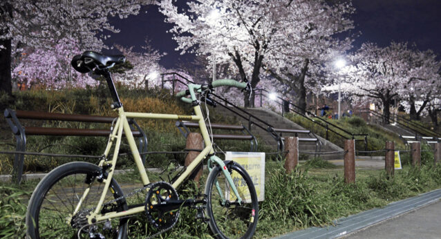 隅田公園の桜並木と BRUNO SKIPPER