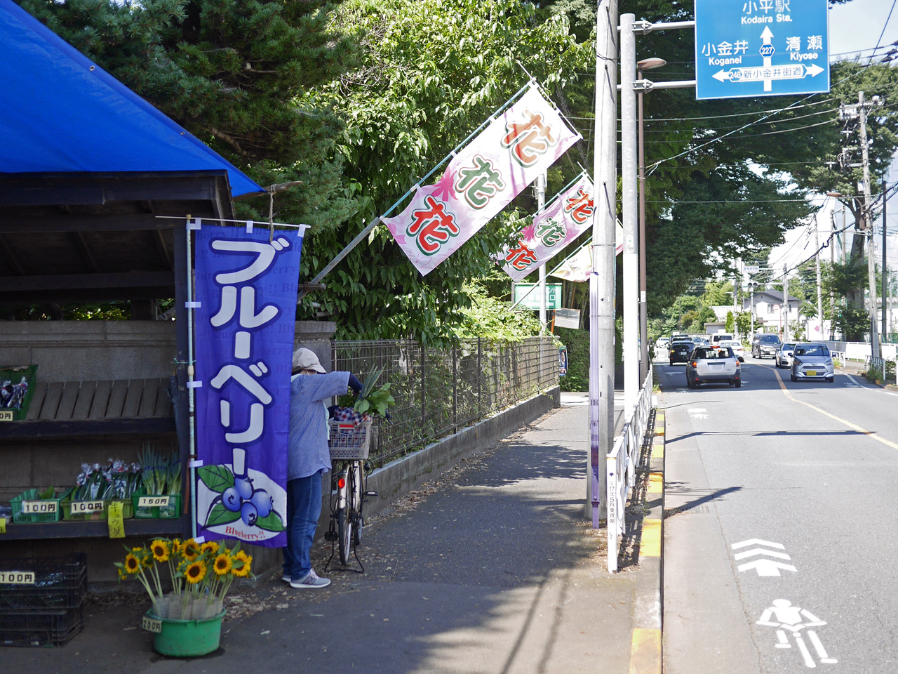 郊外らしい風景の東京街道を進む