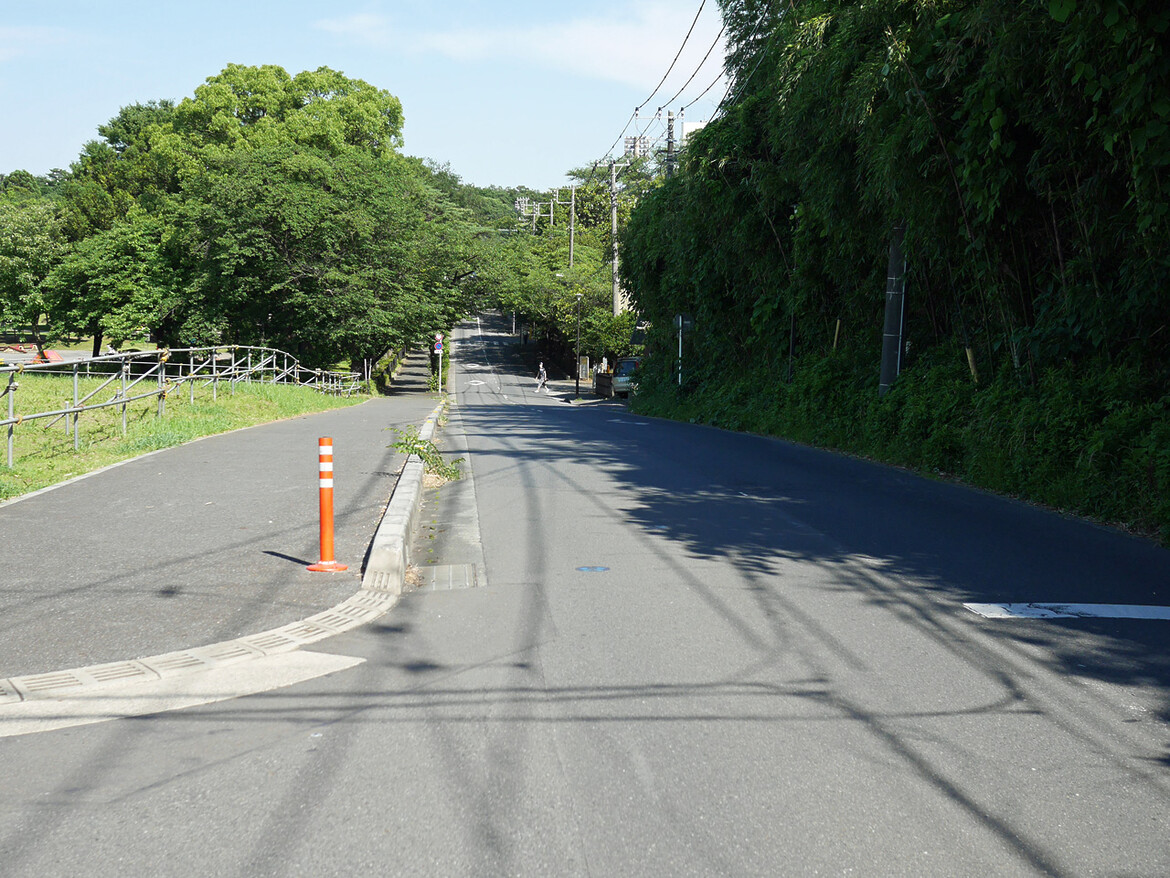 岩槻城跡を貫くアップダウン道を南下