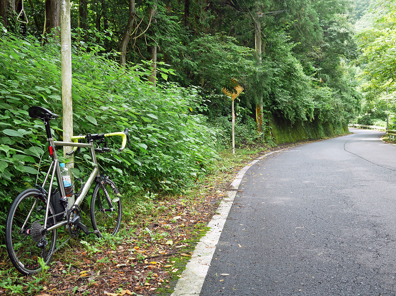 県道11号が1車線になってじきに心が折れた