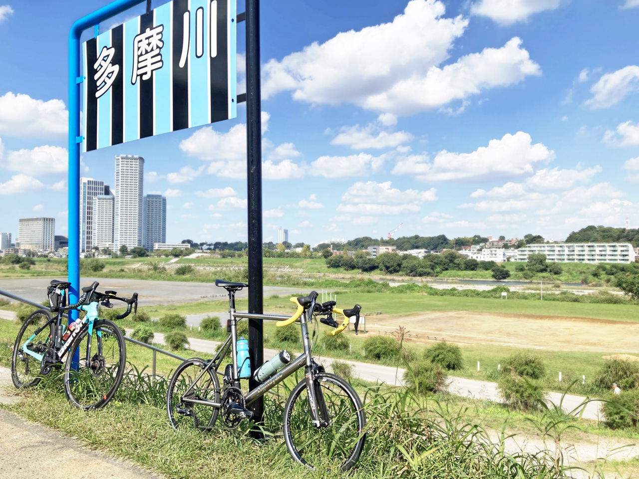 第三京浜の下から多摩川右岸サイクリングロードへ突入