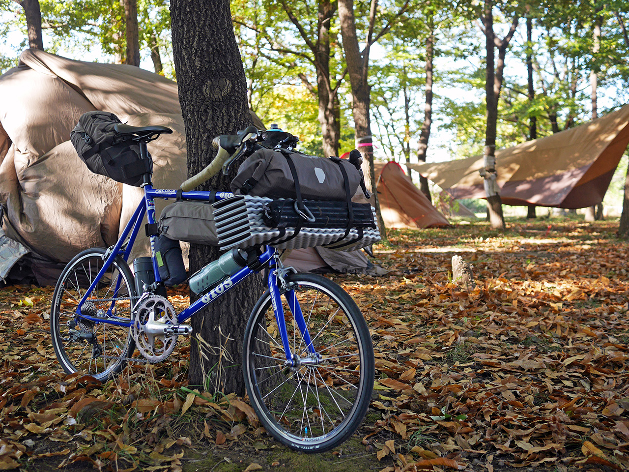 びん沼自然公園のキャンプサイトに GIOS FELUCA を停車