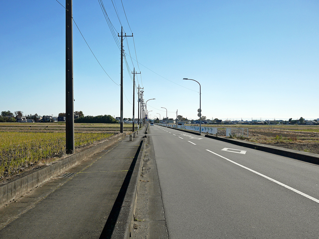 びん沼を後にして塚本本通りを羽根倉橋へ向かって南下