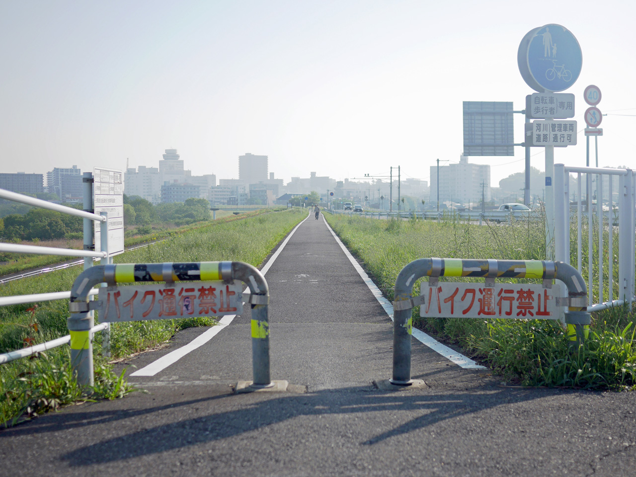 葛飾橋の南詰から江戸川左岸CRを俎上する