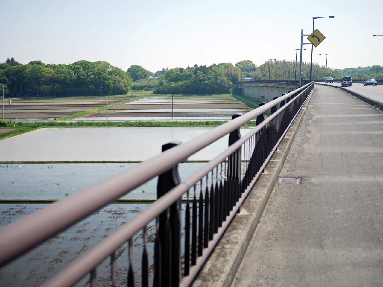 茨城県道3号の両脇に広がる水田