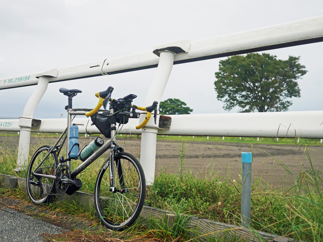 篠崎ポニーランドの柵に LIGHTCYCLE Ti451 を預ける