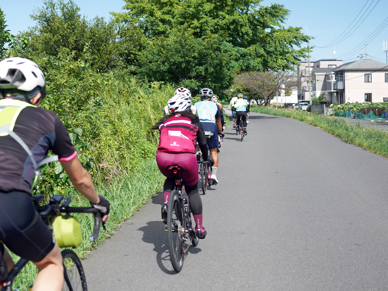 トレインに加わって元荒川の左岸（県道325号）を北上