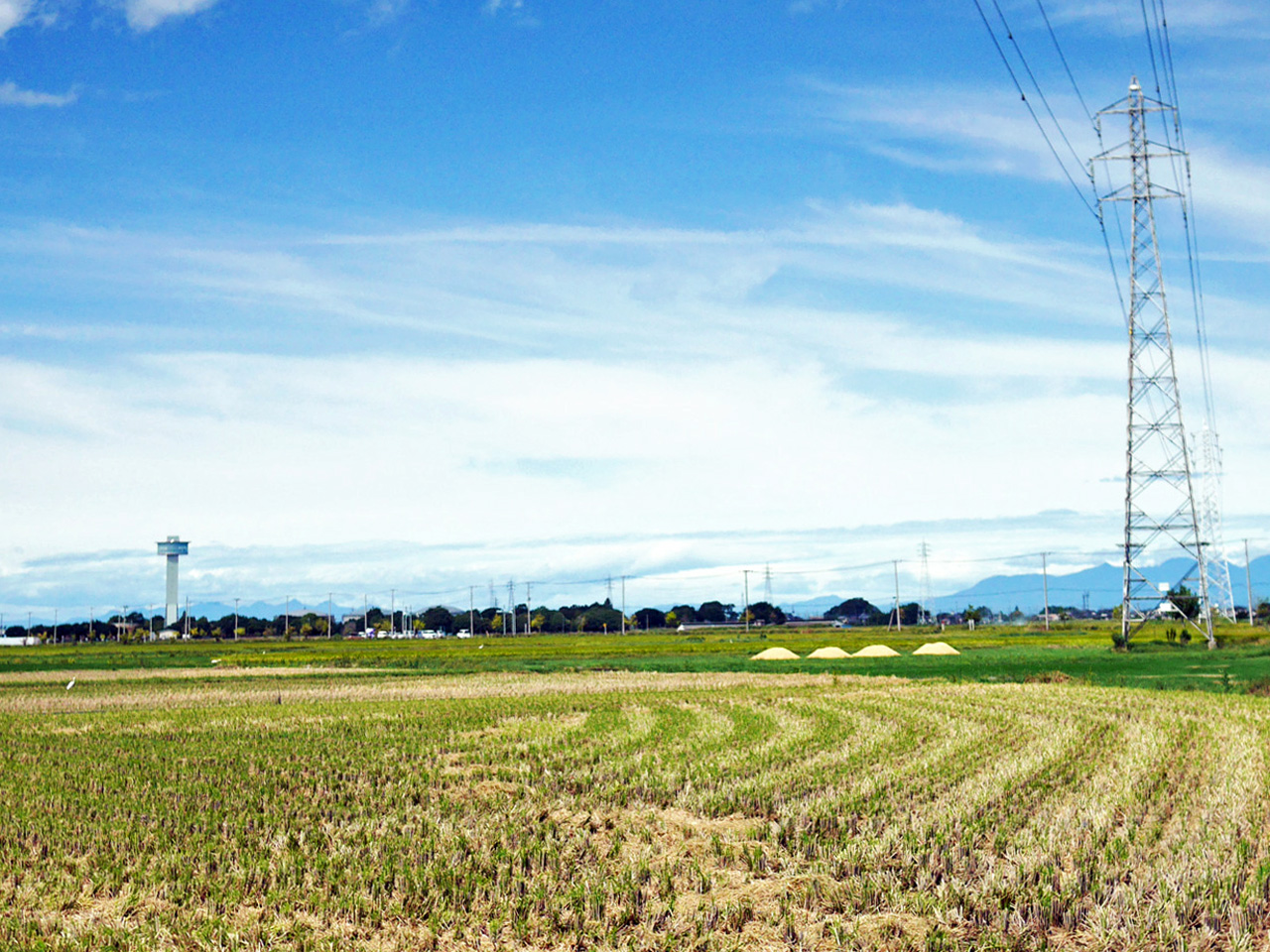 広がる田園の先に行田タワーが見えてきた