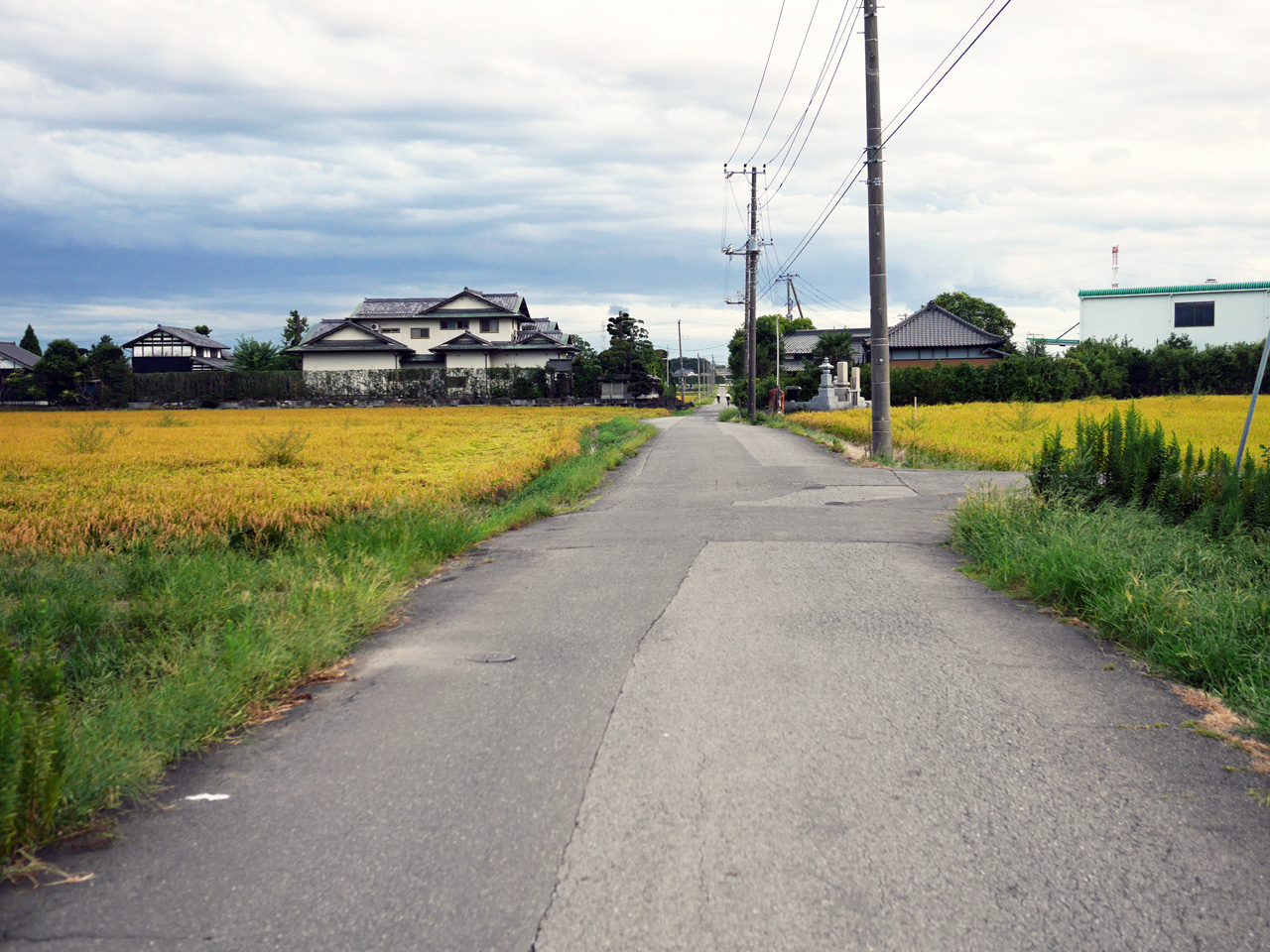 つくばみらい市の田んぼ集落を南下