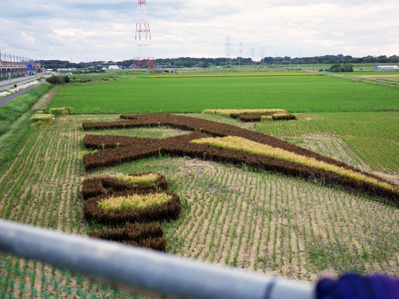 つくばみらい市田んぼアートはつくばエクスプレス仕様だった
