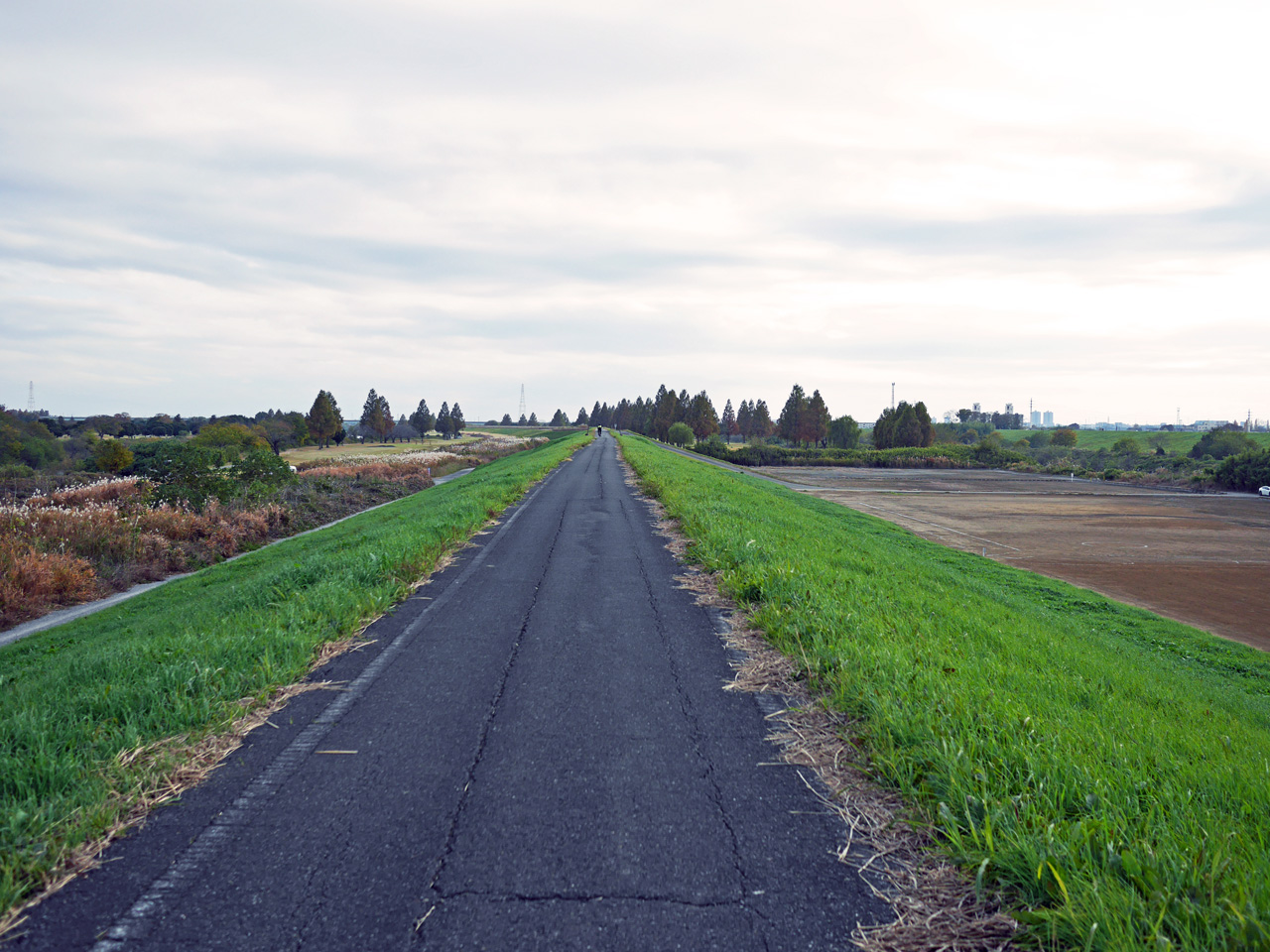 上江橋から荒川の右岸CRにアプローチ