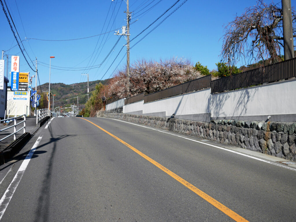 曽我梅林の無慈悲な坂を登っていく